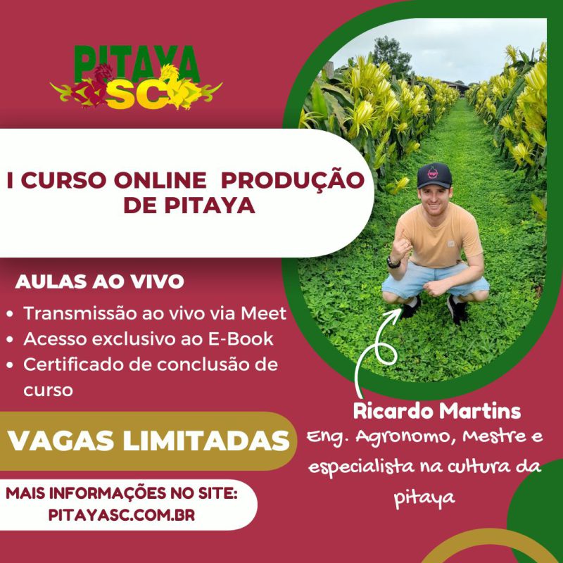 Curso Pitaya